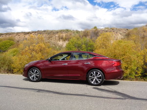 Fall foliage backdrop in high country brings out best of 2016 Nissan Maxima Platinum sedan. (Bud Wells photo)